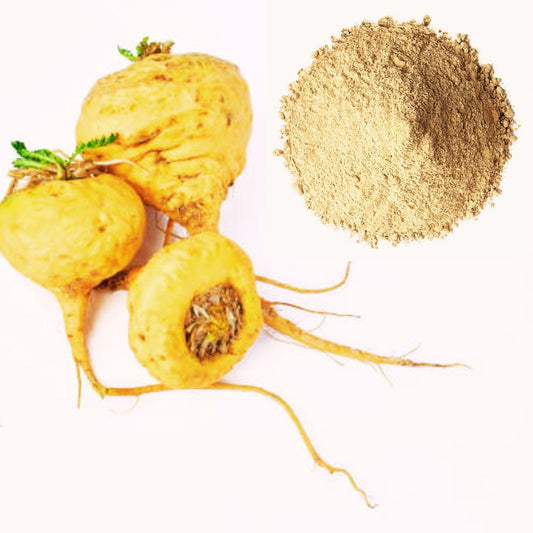 Organic Maca Powder (Gelatinized) 125 g